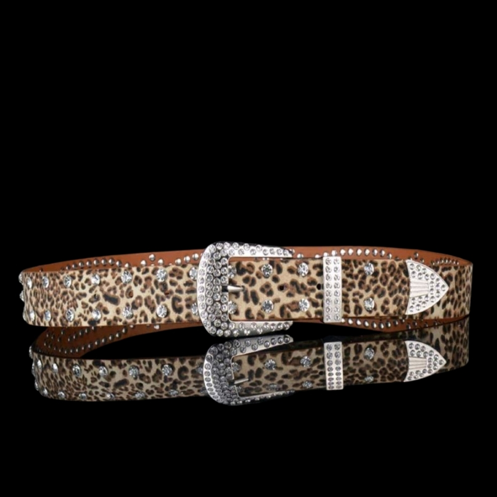 Amazon Brown and Silver Rhinestone Belt - Picture 3 of 4